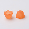 Transparent Acrylic Beads Caps X-PL543-3-3
