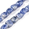 Natural Blue Spot Jasper Beads Strands G-M435-A03-01-1