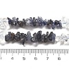 Natural Quartz Crystal & Iolite Beads Strands G-L610-A30-01-5