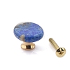 Flat Round Natural Lapis Lazuli Drawer Knobs PW-WG94208-09-1