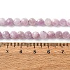 Natural Kunzite Beads Strands G-P587-B01-01-5
