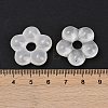 Transparent Glass Beads GLAA-F129-01N-3