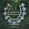 Preciosa® MAXIMA Crystal Fancy Stones X-PRC-FG8-40010-5