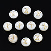 Natural Freshwater Shell Beads SHEL-S278-036X-1