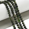 Natural Green Diopside Beads Strands G-K382-B01-01-2