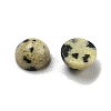 Natural Dalmatian Jasper Cabochons G-H309-03-50-2