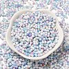 Baking Paint Glass Seed Beads SEED-F005-01A-14-2