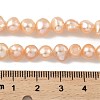 Natural Cultured Freshwater Pearl Beads Strands PEAR-A006-07C-5