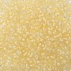 12/0 Glass Seed Beads SEED-A014-2mm-131-2