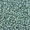 MIYUKI Delica Beads X-SEED-J020-DB2313-3