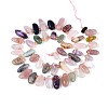 Natural Mixed Gemstone Beads Strands G-Z091-A27-2