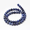 Natural Grade AA Dumortierite Quartz Round Bead Strands G-P075-43-4mm-2