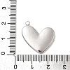 304 Stainless Steel Resin Pendants STAS-B113-06P-3