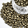 6/0 Glass Seed Beads SEED-S058-A-F216-1