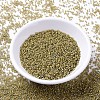 MIYUKI Delica Beads SEED-JP0008-DB2046-2