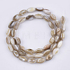 Freshwater Shell Beads Strands X-SHEL-S276-34B-2