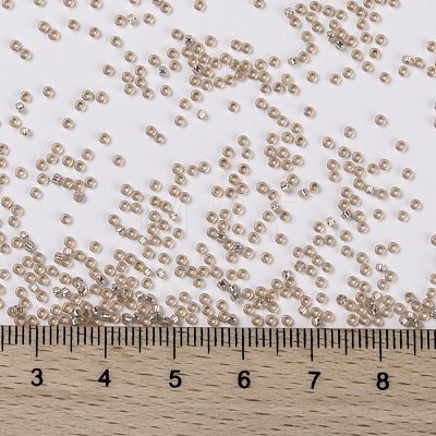 MIYUKI Round Rocailles Beads SEED-JP0010-RR0579-1