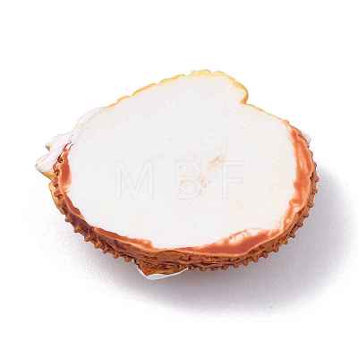 Resin Cabochons CRES-G017-05-1