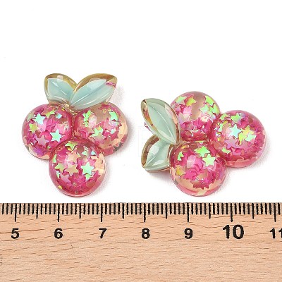 Fruit Theme Transparent Epoxy Resin Cabochons RESI-XCP0002-64B-1