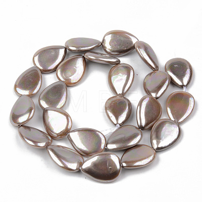Electroplate Natural Freshwater Shell Beads Strands SHEL-R049-026C-1