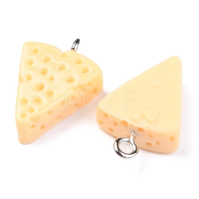 Resin Pendants X-RESI-O009-05-1