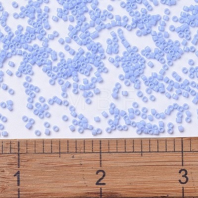 MIYUKI Delica Beads X-SEED-J020-DB1137-1