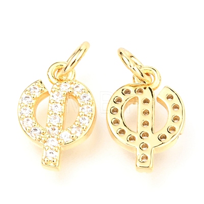 Brass Micro Pave Cubic Zirconia Charms ZIRC-O037-16G-1