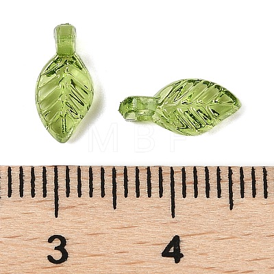 Transparent Acrylic Charms TACR-F009-11C-1