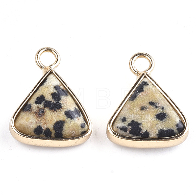 Natural Dalmatian Jasper Pendants G-S344-10B-1