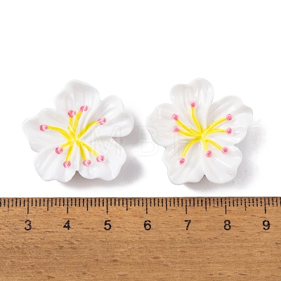Resin Cabochons OACR-U002-03C-1
