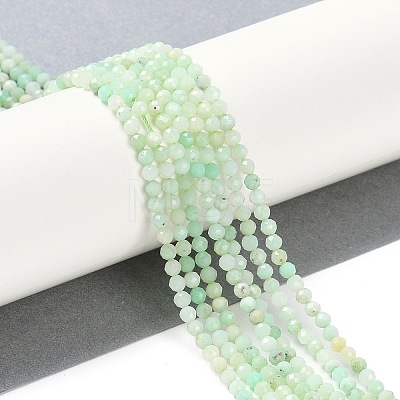 Natural Chrysoprase Beads Strands G-P542-A04-02-1