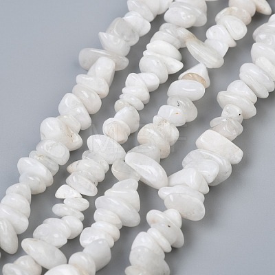 Natural White Moonstone Beads Strands X-G-P332-01-1