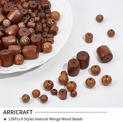 ARRICRAFT 120Pcs 6 Style Natural Wenge Wood Beads WOOD-AR0001-18-1
