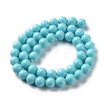 Shell Pearl Beads Strands SP8MM245-1