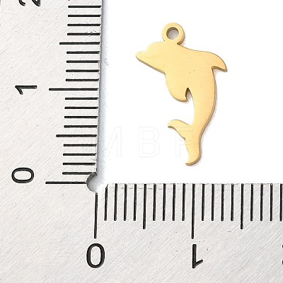 304 Stainless Steel Charms STAS-S138-01G-03-1