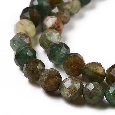 Natural Fuchsite Beads Strands G-C009-A02-1