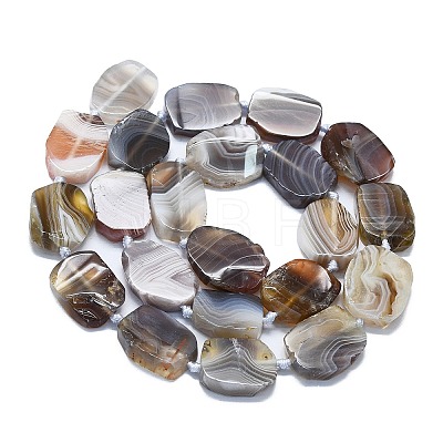 Natural Botswana Agate Beads Strands G-K245-J10-C01-1