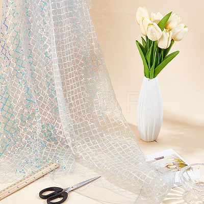 1M Polyester & PVC Sequined Mesh Fabric DIY-CY0003-54C-1