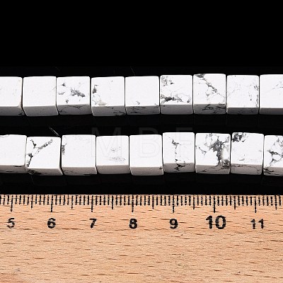 Natural Howlite Beads Strands G-T139-8x8-02A-1