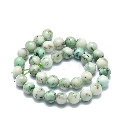 Natural Chrysocolla Beads Strands G-E576-04A-1