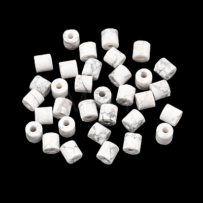 Natural Howlite Beads G-I395-B04-1