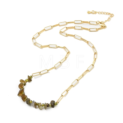 Natural Larvikite Chip Beaded Necklaces NJEW-C070-04G-02-1