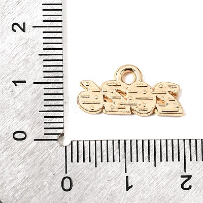 Alloy Enamel Pendants ENAM-D319-01KCG-02-1