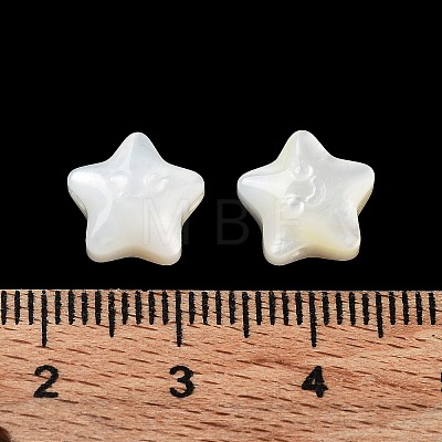 Natural White Shell Beads SHEL-M020-02A-1