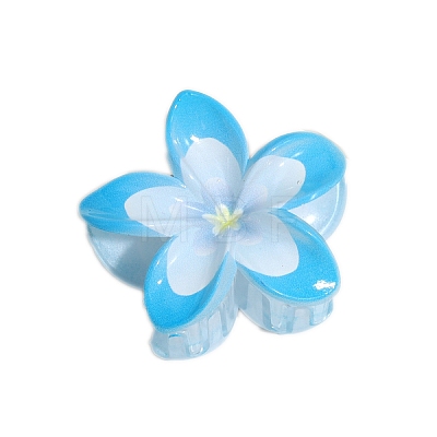 Resin Claw Hair Clips PW-WGCCCD9-02-1