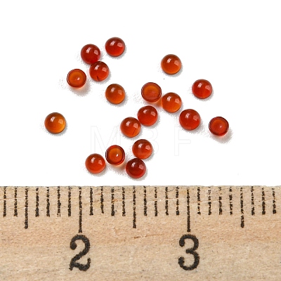 Natural Carnelian Cabochons G-H309-02-09-1