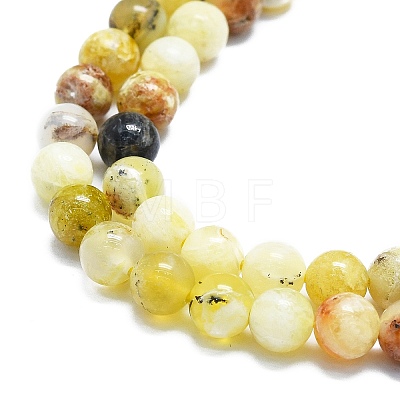 Natural Yellow Opal Beads Strands G-K245-A07-B03-1