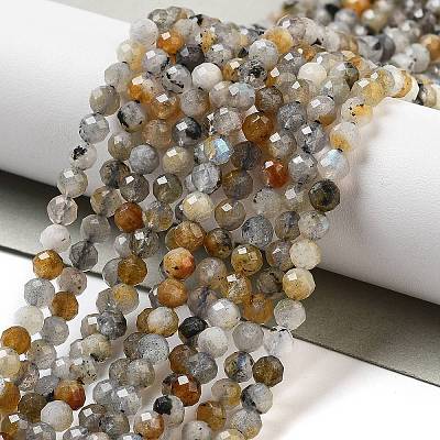 Natural Labradorite Beads Strands G-G161-A09-03-1