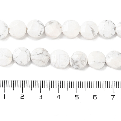 Natural Howlite Beads Strands G-K357-B06-01-1