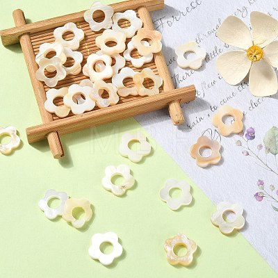 30Pcs Natural Freshwater Shell Beads Frames SHEL-CJ0001-27-1